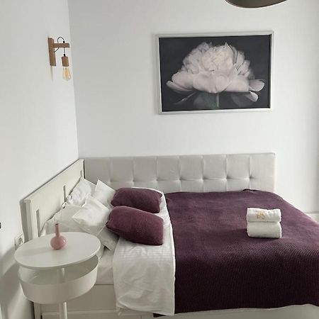 Alma Apartments Suceava Eksteriør bilde