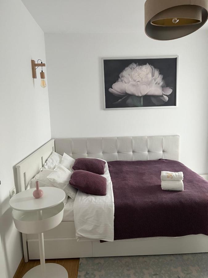 Alma Apartments Suceava Eksteriør bilde